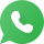 icons8-whatsapp-logo-100